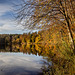 Herbst am Hackensee ++ Autumn at Hackensee