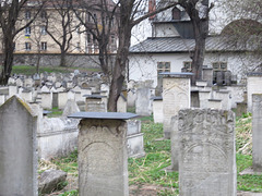 Kazimierz, cimetière Remuh.