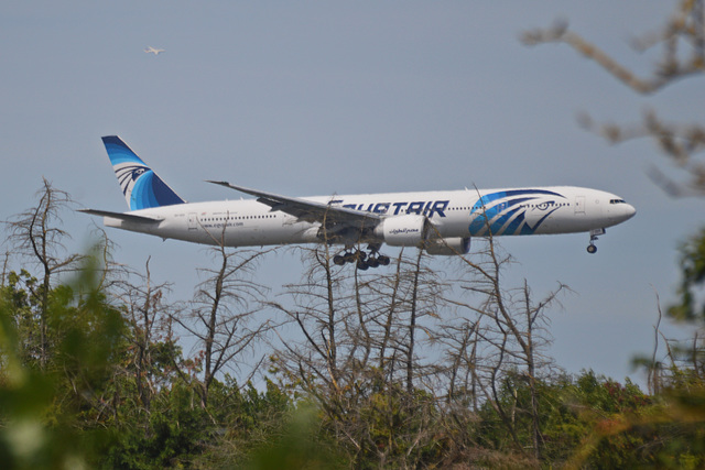 EgyptAir GDO