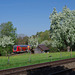 BÖ0013031