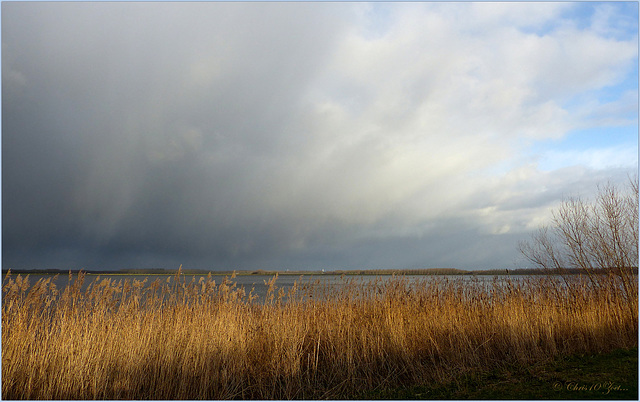 Winter Clouds in the Netherlands, 1