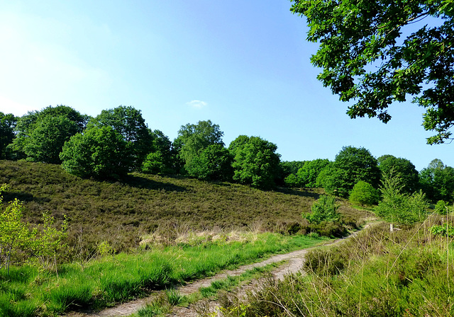 NL - Herkenbosch - Wanderung in den Meinvennen