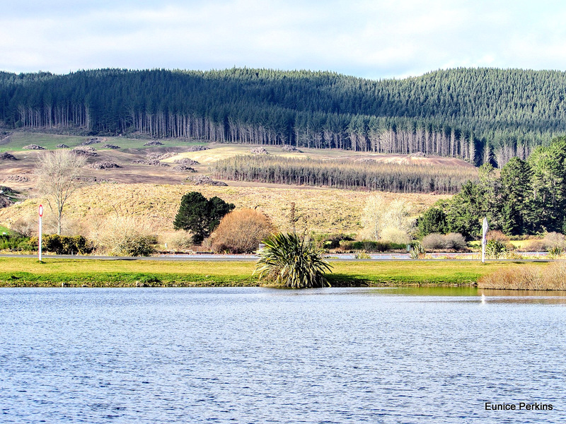 Across Lake Whakamaru.