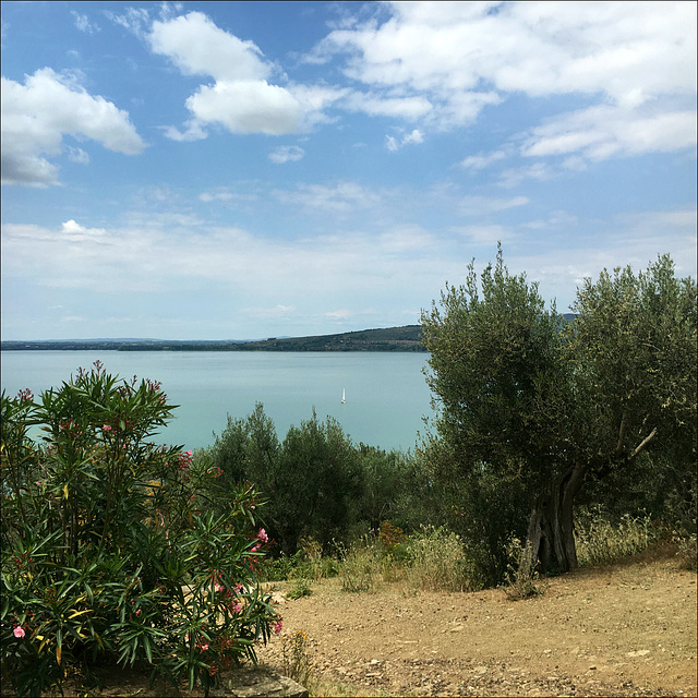 Sul Lago Trasimeno