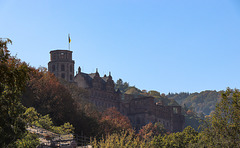 Das Heidelberger Schloss