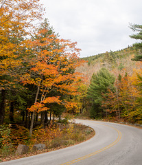 Acadia road