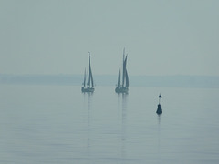 Zeesenboote auf dem Barther Bodden bei Althagen