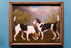 "Couple de Foxhounds" (George Stubbs - 1792)