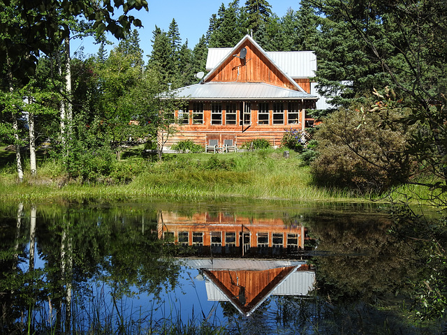 Pond reflections, Akesi Farms Pond reflections, Akesi Farms