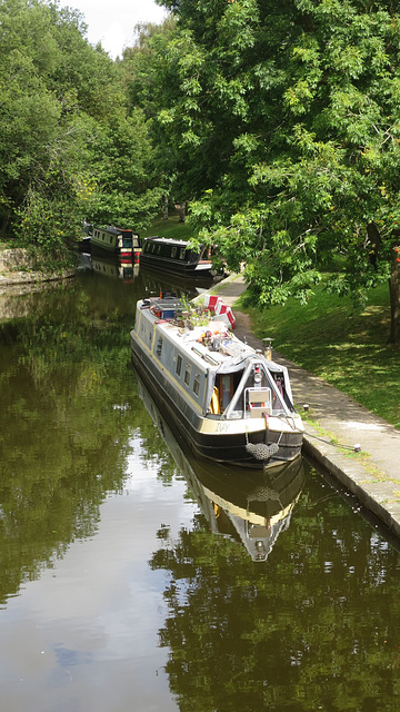 Trevor Basin