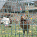 So what? (HFF)