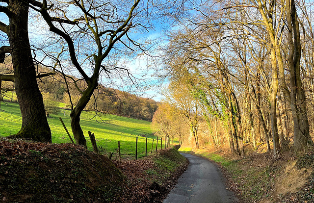 Rückweg von der Landskrone