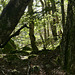 20230930 -1001 Alzon paradis dodo Saint Guirral (29)