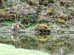 Reflets près du moulin du Prat (22)