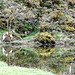 Reflets près du moulin du Prat (22)