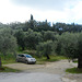 Greece, Kerkyra (Corfu), My Good Old Car among Ancient Olive Trees Greece, Kerkyra (Corfu), My Good Old Car among Ancient Olive Trees