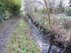 bachlauf-06999