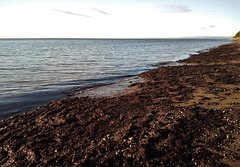 Là où le sable ne règne guère ......