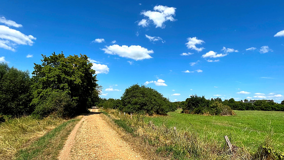 DE - Weilerswist - Spaziergang in der Erftaue