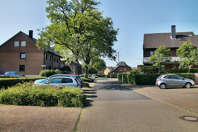 Dörnekampstraße (Dorsten) / 27.05.2023