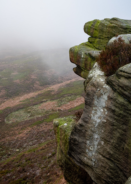 Mist is rolling in