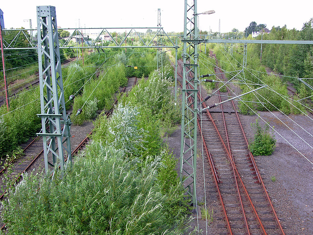 Zukunft: Gartenschau 2013