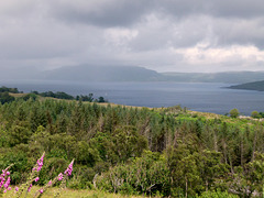 Regen überm Loch Sunart