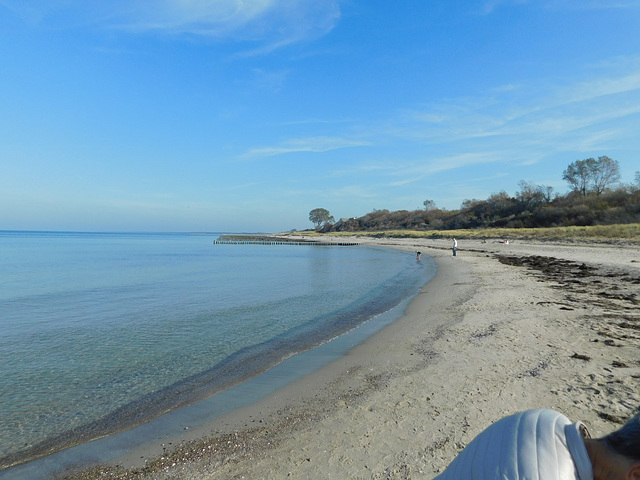 Strand in Ahrenshoop