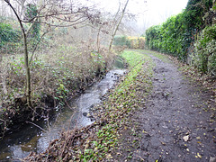 bachlauf-07000