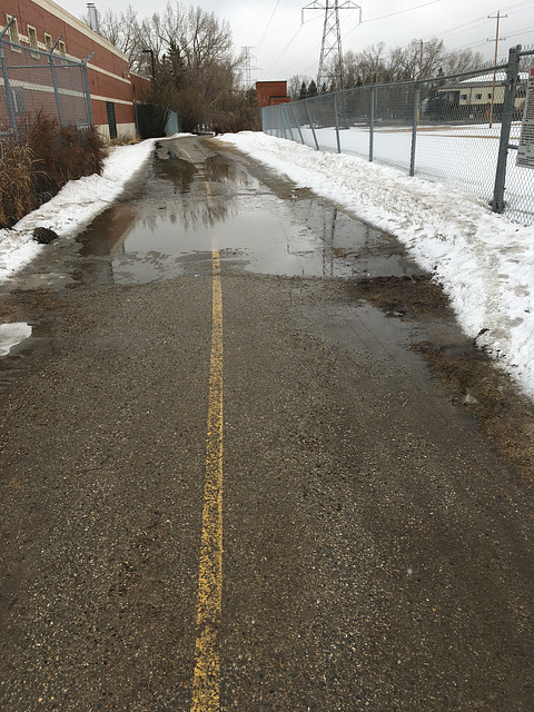 Puddle on the path