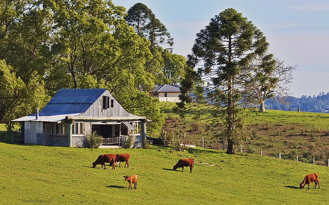 Curramore, Queensland