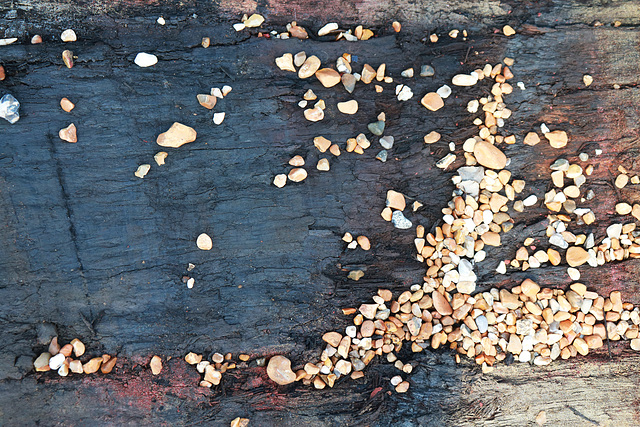 Charred Wood and Pebbles