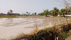 Inondation sous surveillance / Flooding under control