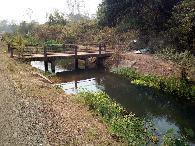 Un petit pont et son ruisseau florissant