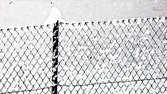 Snow-fence (PiP)
