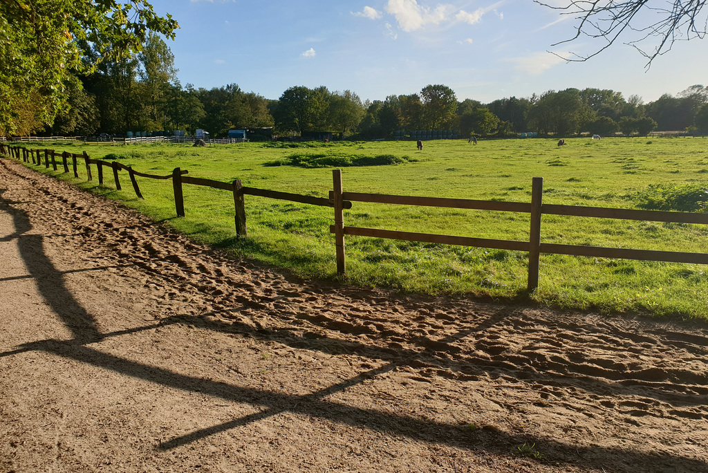 In der Oktobersonne (2xPiP)