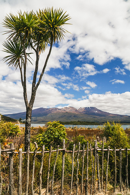 Mount Tongariro