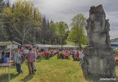 Schachblumenfest in Obersinn