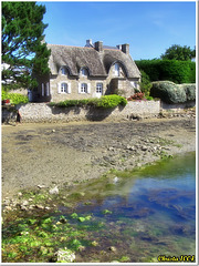 Marée basse devant la maison... Marée basse devant la maison...