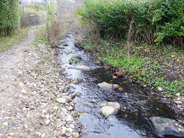 bachlauf-07002