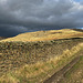 Bleaklow - Shelf Benches