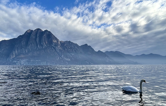 back to Lake Iseo