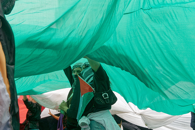 Sous le drapeau palestinien