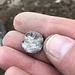 Silver coin