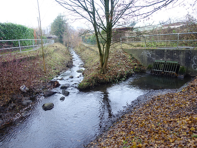 bachlauf-07003