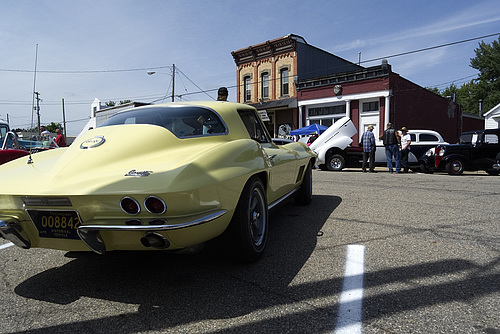 The Yellow Sting Ray