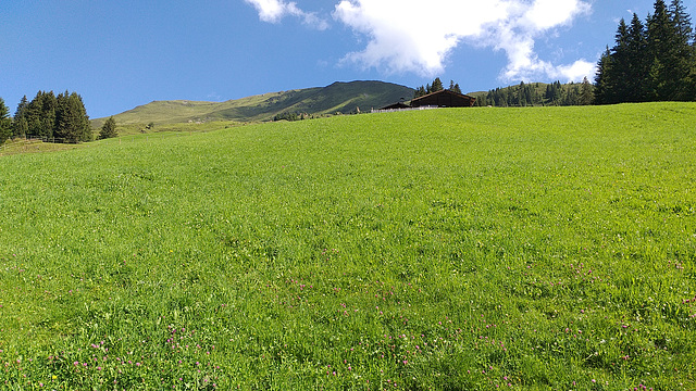 Geiseljoch (23)