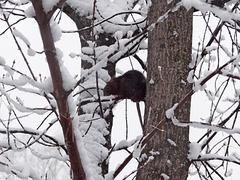 On the top On the top