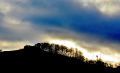 Sky,Trees and Hill 3