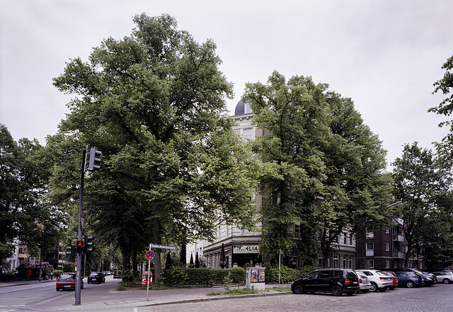 -06-strassenecke-19-05-2018 PNG